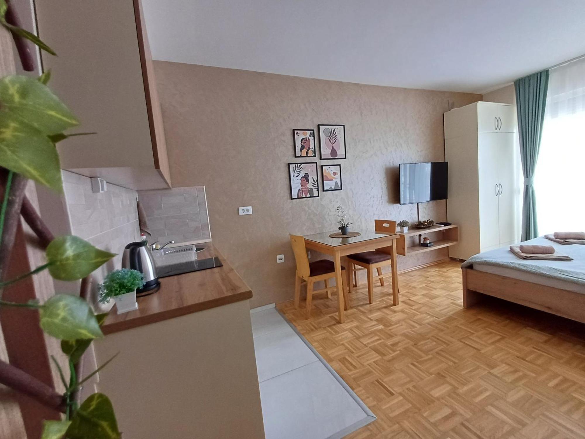 Jana Apartment Ohrid Buitenkant foto